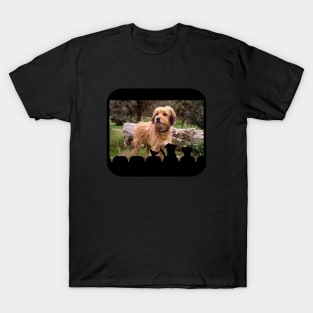 It's Sparky! T-Shirt